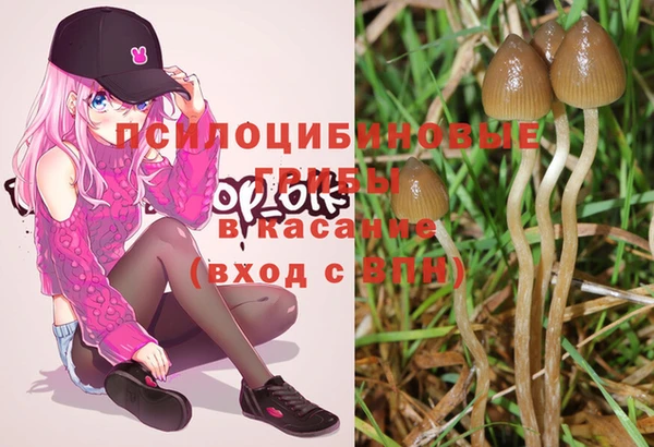 ешки Белоозёрский