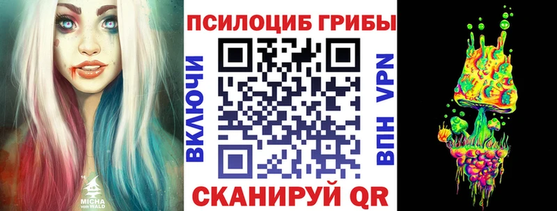 купить закладку  Хотьково  Галлюциногенные грибы Psilocybe 