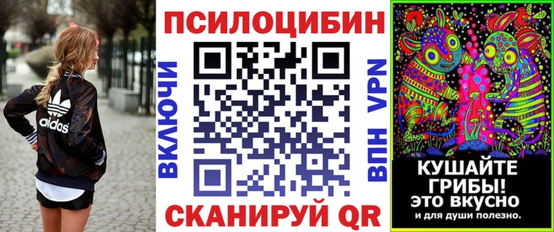 Псилоцибиновые грибы мицелий Хотьково